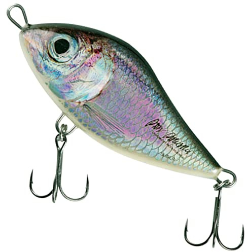 Salmo Slider Jerkbait Wobbler, couleurs Salmo : Baltic Herring PP, longueur/poids/comportement/profondeur de plongée : 12 cm / 70 g / descente / 2,0 à 1 m