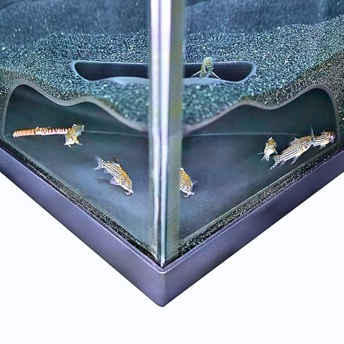 Lucky Critter Aquarium Underground Corner Cave Natural Curve | Viewing Fish & Shrimp Under Gravel Tunnel | Fish Tank Decor Decoration Hideout Perfect for Corydora Catfish, Kuhli Loach, Pleco