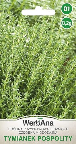 WegAna Thym Graines 0,2g Graines de légumes Graines de culture pour serre Jardin Herbes de jardin Plante