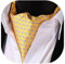HISDERN Krawattenschal Gelb Herren Hochzeit Ascot Krawatte Gepunktete Elegant Business Halstuch