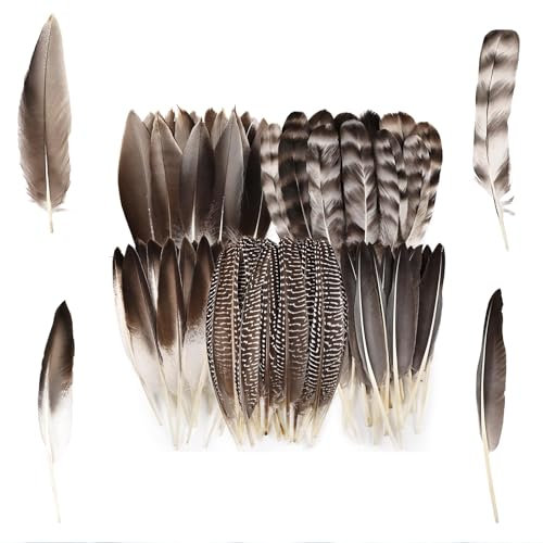 Cosmeria Federn Zum Basteln, Hochwertige Weiße Federn Für Traumfänger Und Kreative Projekte, Ideal Zum Dekorieren Und Basteln Für Alle Altersgruppen