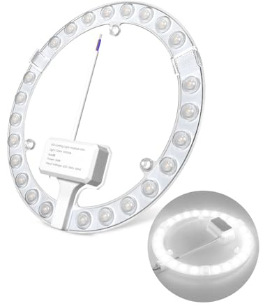 DoRight 24W Módulo de Anillo LED, con Soporte Magnético Blanco Frío 6000K, Juego de Conversión para Lámparas de Techo y Lámparas de Pared, Repuesto de Lámpara Fluorescente Circular