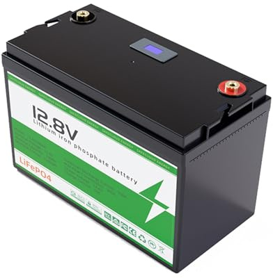 JHKJ Batteria per Auto turistica da 12 V 50 Ah 100 Ah 200 Ah 300 Ah Batteria LiFePO4 da 24 V 100 Ah 200 Ah Energia fotovoltaica per Esterni per Camper/Nautica/Campeggio,24v 100ah