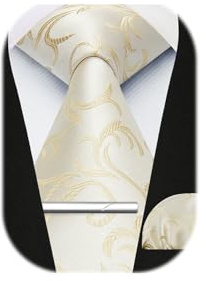 Enlision Corbata con pañuelo y pasador de corbata Champagne Gold Paisley Set de corbata y pañuelo de bolsillo para bodas, ocasiones formales y trabajo de negocios.
