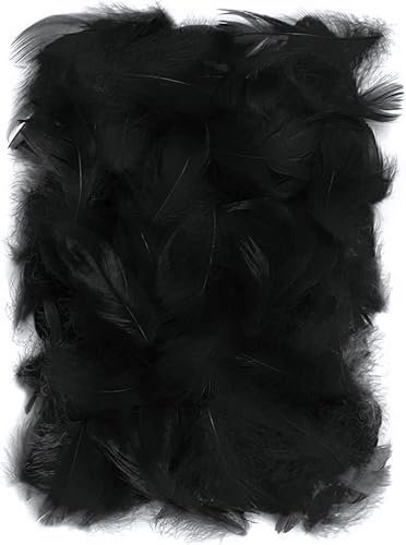 Netuno 150 Stück Flaum Federn Schwarz 10 g Natur Schmuckfedern zum DIY Basteln Dekoration für Ostern Weihnachten Figuren Dekofigur Karneval