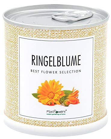 Blomhälsningar – konserverad ringblomma – odlingsset lätt och snabb – present