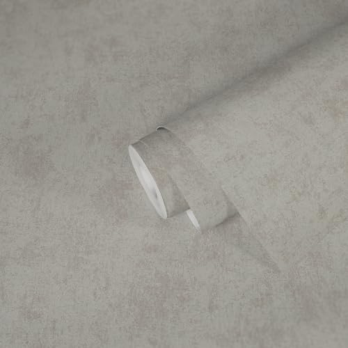 Livingwalls Papier peint métallique argenté et gris métallisé Premium Wall 2 389697 – Papier peint non tissé aspect plâtré – 10,05 m x 0,53 m – Fabriqué en Allemagne