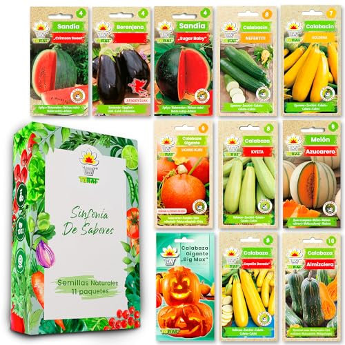 LW Toraf Gemüsesamen Set XXL - 12 ausgesuchte Sorten für den Garten - ca. 500 Samen - Kürbis, Wassermelone, Zucchini und mehr - leicht anzubauen - ideal für Anfänger und Gartenliebhaber