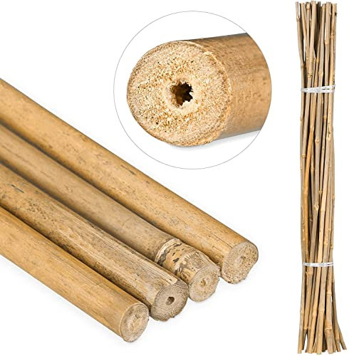 F29014_x10 Suinga. Lot de 10 tuteurs en bambou 120 cm, diamètre 9 à 12 mm, tiges bambou, pour plantes, couleur naturelle, utilisation agricole tenir les arbres, plantes et légumes Marron