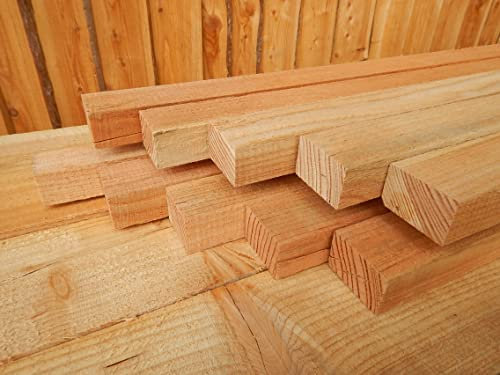 ZAUNLATTE LÄRCHE HOLZ LATTEN LATTENZAUN HOLZZAUN 25x50 mm 2,5x5 120cm (20)