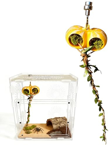 Fenayuu Accessorio Decorativo Habitat - Decorazione Magnetica Per Vasca Dei Rettili | Tana Per Habitat Di Saltatore,Per Gioco E Foraggiamento Di Tarantola, Mantide E Scorpione In Terrario E Acquario