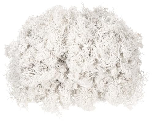 QUARKZMAN 11.3oz Musgo De Reno Preservado, Musgo Artificial Blanco Decorativo para Plantas En Maceta Manualidades Decoración De Centros Líquenes
