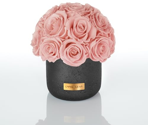 EG EMMIE GRAY Black Solid Infinity Collection – Drömlika Infinity rosor, 1–3 års hållbara rosor, betongvas med äkta, konserverade rosor, ädla premiumrosor – storlek S (antique rosa)