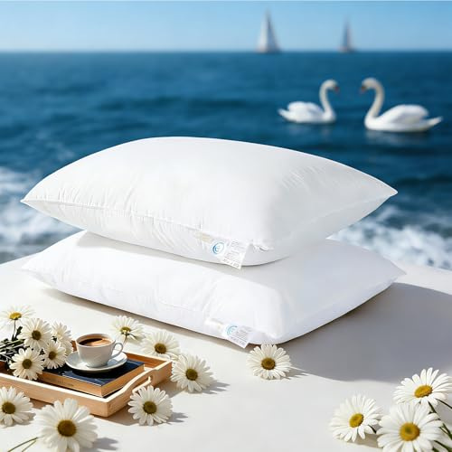 Luxury Goose Feather Down Pillow, 3-Chamber 5 Star Hotel Pillow for Deep Sleep, Soft Bed Pillows for Neck Pain Relief, Perfect for Side, Back Sleepers, 100% Cotton Shell (2 Pack,Queen(20x30))