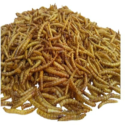 Aquatic Foods Inc. Mealworms- Freeze Dried Mealworms for Tropical Fish, Pond Fish, Reptiles, Turtles, Tortoises, Frogs, Hamsters, Birds, Rodents…10oz Med Jar
