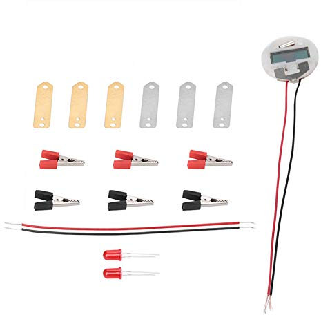 Kit di Esperimenti Scientifici Sulla Batteria della Frutta, Kit di Scienze Bioenergetiche Bambini Educativi Divertenti Esperimenti di Elettricità con Patate Giocattoli Soggetto Educativo