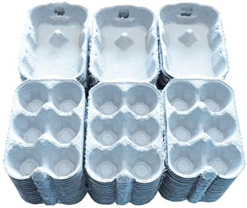 Home Centre Egg Boxes Trays 40 Pieces Box Holds 6 Eggs Recyclable Biodegradable Cardboard Plain Front Opening