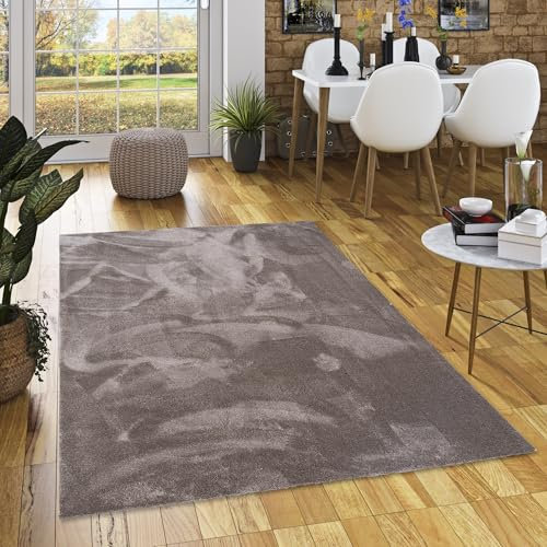 Snapstyle Super Soft Hochflorteppich Livorno Taupe - Ideal für Wohnzimmer, Schlafzimmer, Kinderzimmer, Moderne Farben, Verschiedene Größen