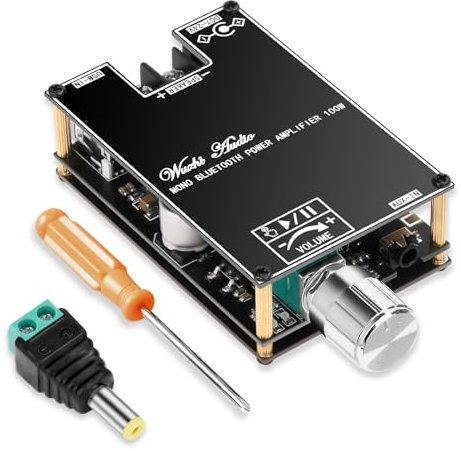 ZK-1001B Modulo Amplificatore Bluetooth 2 x 100 W, Scheda Amplificatore Monocanale con Funzione TWS, Ricevitore Audio Stereo 9-24V con Ingressi Bluetooth/USB/AUX