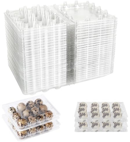 Oungy Lot de 60 boîtes à œufs de caille - 12 grilles - En plastique transparent - Avec couvercle - Réutilisables