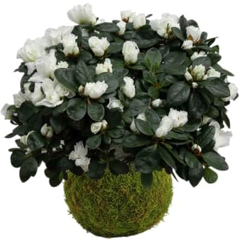 DECOALIVE Kokedama Artesanal de Azalea Planta Viva de Interior con Musgo Natural