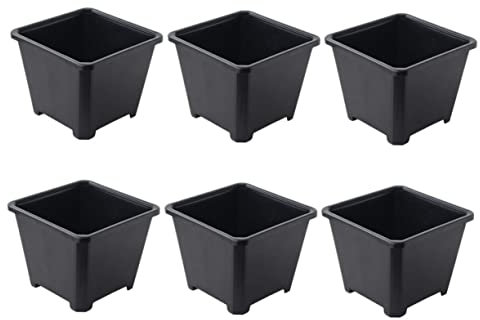 Toyvian 6 Pezzi Vaso Per Piantare Contenitori Floreali Fornitura Vaso Di Fiori Contenitore Di Piantagioni Piccoli Vasi Da Fiori Fioriera Piccolo Floreale Materia Prima Plastica Nero
