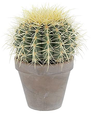 KENTIS - Echinocactus Grusonii - Cactus Oreiller de belle-mère - Plantes Vertes Succulentes - H 20-30 cm Pot en Terre Cuite Ø 14 cm
