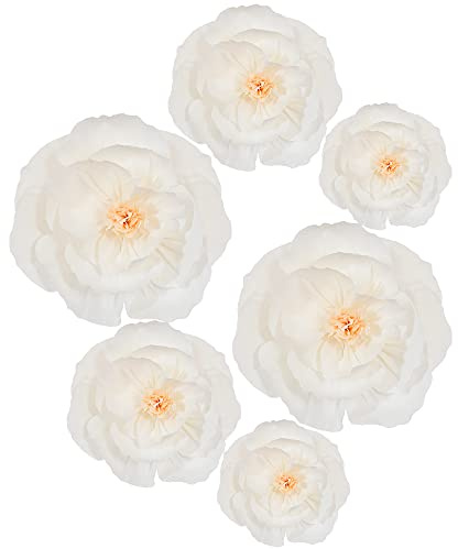 BEISHIDA 6 Pieces Paper Flower Decoration Supplies for Party,Wedding Decoration, Background Wall, Room Decor, Bridal Shower, Baby Shower (White)