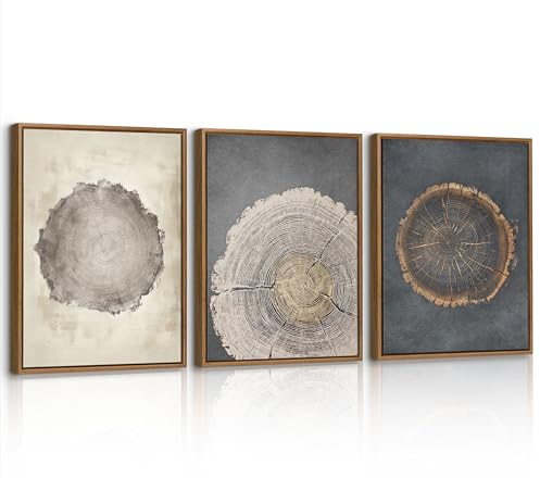 3Pcs Con Marcos Cuadros Decoracion Salon Vintage Árbol Anillos Madera Pintar Lienzos Decorativos Moderno Retro Madera Tronco Cuadro y Láminas Decorativa para Dormitorio Comedor Oficina 30x40cmx3 Pcs