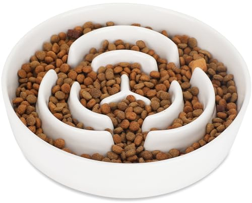 IDOGCHEW Slow Feeder Dog Bowl Ceramic 20.5x4.5 cm(8.07x1.77 in) | Slow Down Eating for Prevent Bloat Anti Choking, Maze Puzzle Feeder Feeding Bowls for Dogs Healthy Digestion Weight Control