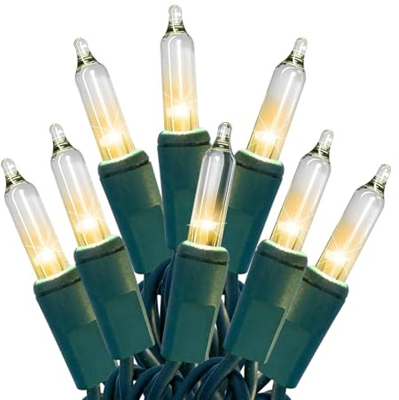 HISHINY Christmas Lights 100 Count Clear Christmas Tree Lights String with Green Wire for Outdoor Indoor Christmas Decorations Wedding Decorations Valentines Day Decor,UL Certified (21feet)