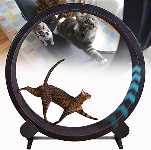 Rueda de Ejercicio para Gatos, Cinta de Correr silenciosa for Gatos - Máquina Fitness for Juguete Deportivo for Bajar Peso for pequeños y medianos