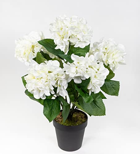 Seidenblumen Roß Großer Hortensienbusch 50x38cm weiß im Topf GA Kunstpflanze Kunstblumen künstliche Hortensie Pflanze