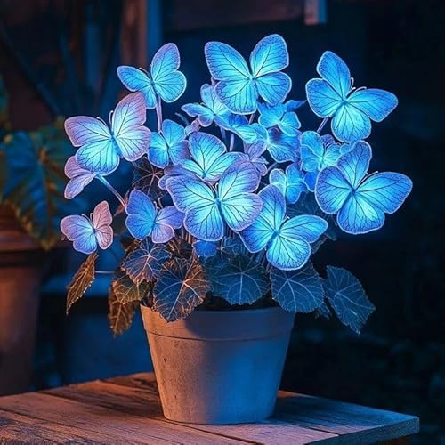 Raro Hosta Bulbi, piante erbacee perenni, Hosta Bulbi grande, Ambiente paesaggistico, Hosta in vaso, profumate, pianta Hosta(Non artificiali)-6 Bulbi-G
