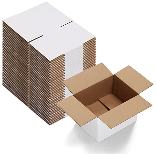 Calenzana 8x6x4 Shipping Boxes Set of 40, White Corrugated Cardboard Box for Mailing Packing Gifts Small Business