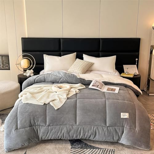 XHDZSW Couette en Peluche Moelleuse, Thermique Agneau Double Face Velours, Laine Épaissir Chaud Hiver, Literie Couette (Gris,200x230 cm (3 kg))