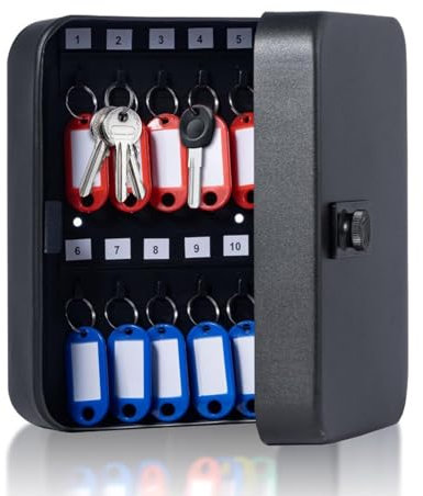 Vixzoid Schlüsselbox abschließbar Schlüsselschrank für 20 Schlüssel mit Zahlencode Schlüsselkasten 20 x 16x 6 cm Schwarz