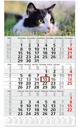 Timr calendrier 3 mois 2026 aperçu annuel - 53 cm - International multilingue D/GB/F/I/E/NL - calendrier mural avec curseur - motif chat I tr352