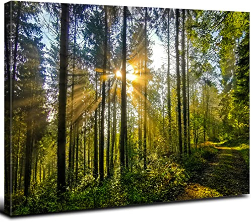 Sunrise Forest Canvas Wall Art for Living Room Nature Landscape Pictures Wall Decor Sunset Woods Mountain Painting Sunset Trees Trail Scenery Photo Prints Poster Artwork Bathroom Decorations 12x16”