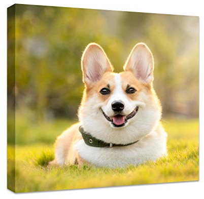 Anjiefo Regalo personalizzato，Stampe su tela Immagini personalizzate su tela，Stampa Foto su Tela, Arredo Casa, Ufficio con Quadri moderni e Canvas Personalizzato. (20cmX20cm)