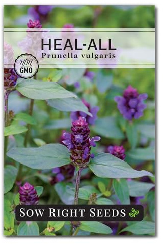 Sow Right Seeds - Heal-All Seeds for Planting - Self Heal Prunella Vulgaris - Non-GMO Heirloom Medicinal Herb - Grow Your Own Wildflower Garden - Attracts Pollinators - Easy to Grow in Gardens (1)