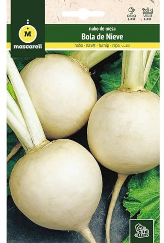 Mascarell Semillas, NABO, Semillas Huerto, NABO BOLA DE NIEVE, Crea tu Propio Huerto Urbano y Cultivo en Casa, Plantas Hortícolas, 12 Gramos