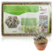Sphagnum, muschio, 500 g, terrario per orchidee, terriccio naturale, decorazione rettile, piante da interno, nutrizione idratante, muschio di torba organico per orchidee e bonsai rettili
