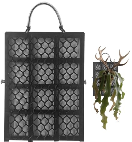 Fenayuu Staghorn Kit de montage fougère – Support pour planche de plantation murale en bois de cerf – Orchidées platycérium Montage Décoration d'intérieur pour jardin, intérieur, extérieur, bureaux