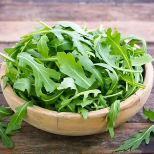 semi di rucola perenne biologica, rare di rucola resistenti da balcone in serra aiuole rialzate per giardino 70pcs