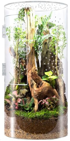 Terrario acrílico para arañas: hábitat ventilado con Puerta Frontal, Tanque Impermeable para Reptiles arbóreos | Recinto arañas saltarinas, tarántulas, Mantis y Otras pequeñas Mascotas e