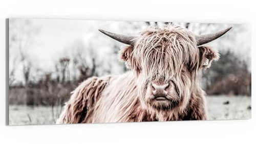 DEQORI Glasbild Acrylglas | Motiv Ruhendes Hochland | horizontal einteilig 125x50 cm | schöne Dekoration | Wandbild für Wohnzimmer, Schlafzimmer, Flur & Küche | moderne Wanddeko