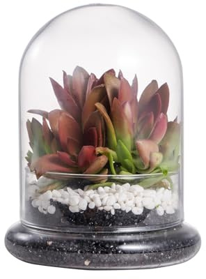 NCYP Vitrina Pequeña Decorativa Redonda de Cristal Transparente para Terrario, 12x12x16 cm, Cúpula de Cristal con Base y Orificio de Ventilación para Almacenar Suculentas en Miniatura (Sin Plantas)