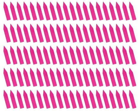 Lot de 100 étiquettes de nom pour - Étiquettes de jardin - Étiquettes de jardin d' - Étiquettes imperméables pour jardin d'