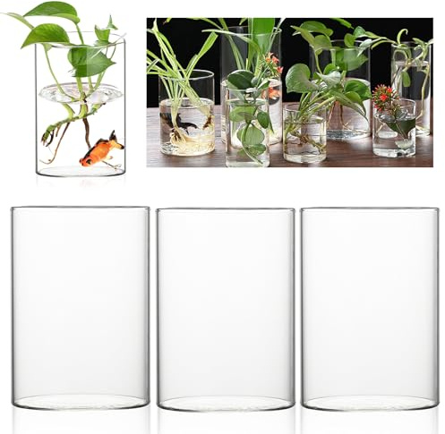 Cilindro in vetro con fondo, 3 vasi cilindrici da 10 x 15 cm, vaso in vetro trasparente, moderno e cilindrico, portacandele in vetro, set di fiori per orchidee, rose, tulipani, candela